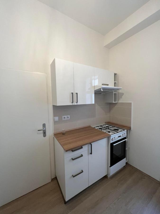 Soukenicka Apartment Prague